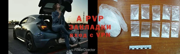 индика Бородино