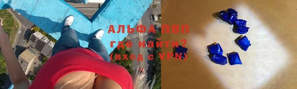 сатива Бугульма