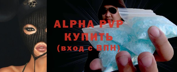 индика Бородино