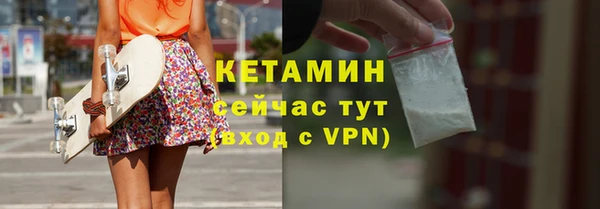 индика Бородино