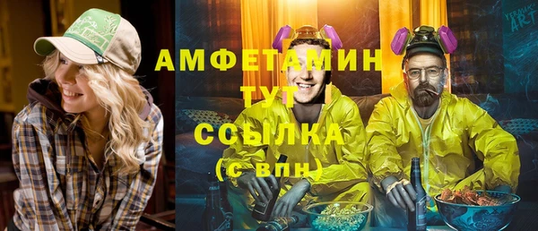 индика Бородино