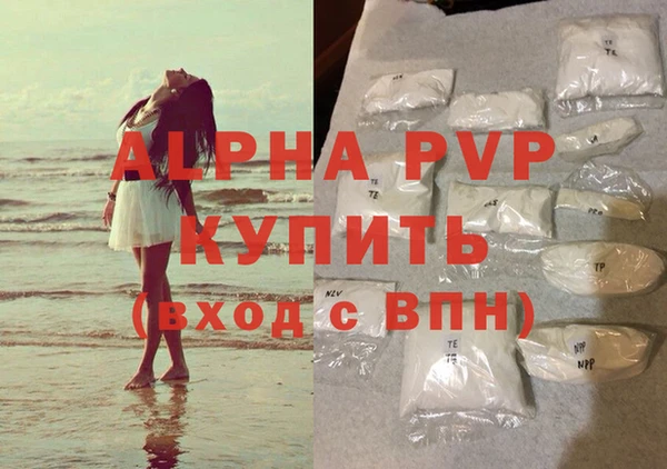 индика Бородино