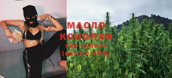 индика Бородино