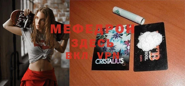 индика Бородино