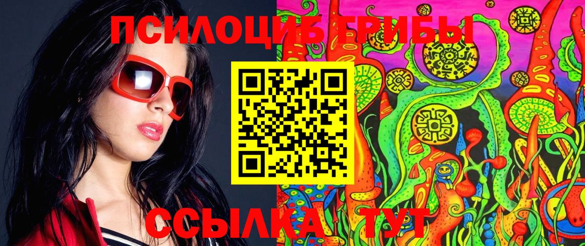 Зима  Галлюциногенные грибы Cubensis  Вход с VPN  Псилоцибиновые грибы Psilocybe 