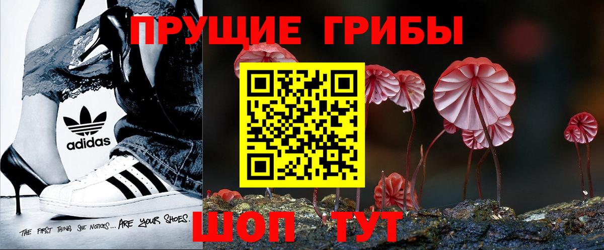 Псилоцибиновые грибы мухоморы Зима